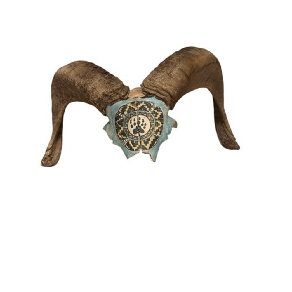 Sacred Vintage Native American Butte County Hand Painted OOAK Big Horn Ram Skull - Picture 5 of 8